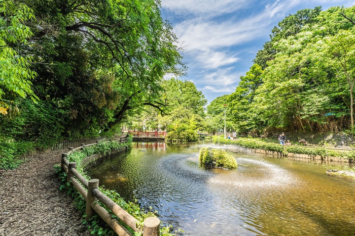 公園　与野公園（公園）まで450m