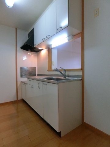 キッチン　C202の写真（間取同タイプ：イメージ）