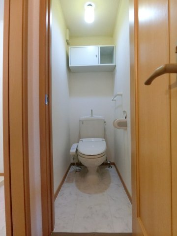 トイレ　C202の写真（間取同タイプ：イメージ）
