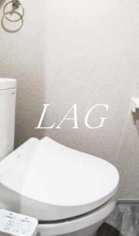 トイレ　トイレです。（同一仕様設備です。）