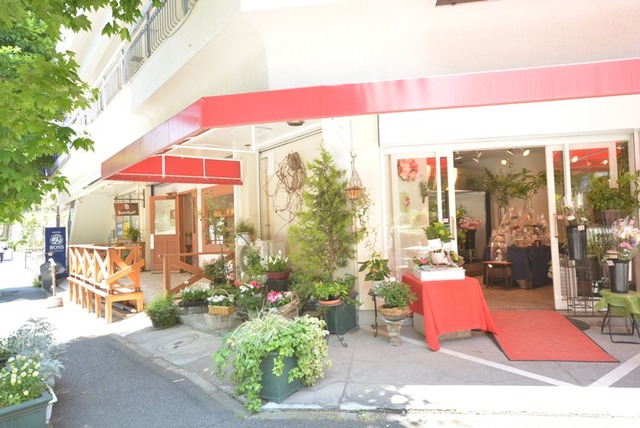 嶮山パークヒルズの周辺写真