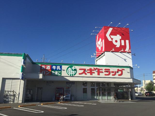 その他　スギドラッグ岐阜六条店まで268ｍ