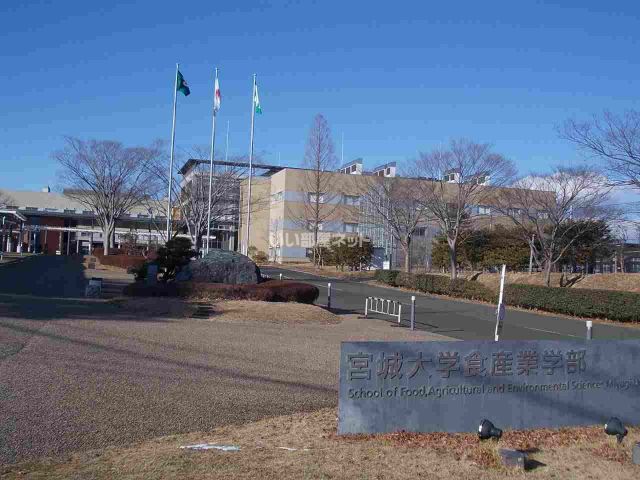 大学・短大　宮城大学　太白キャンパス（大学・短大）まで1636m