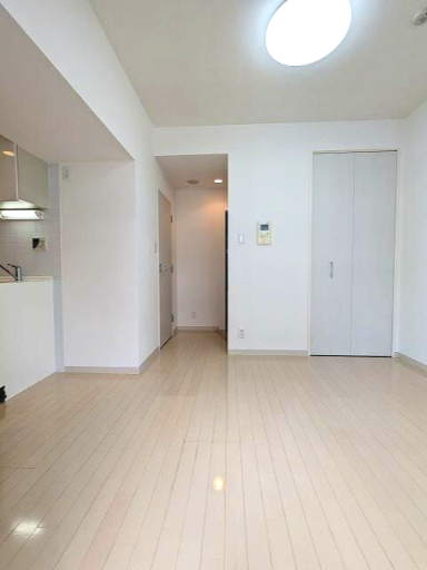 ダイナシティ西新宿の内装写真