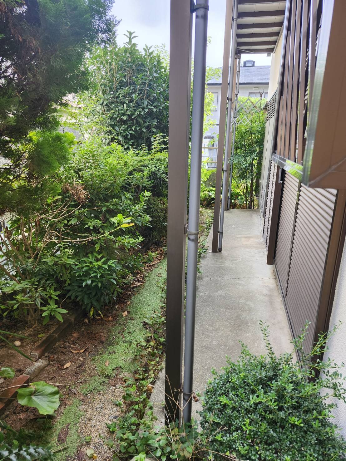 野上6丁目一戸建のその他写真