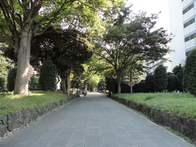 公園　氷川緑地（公園）まで800m