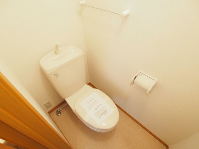 トイレ　トイレも気になるポイント