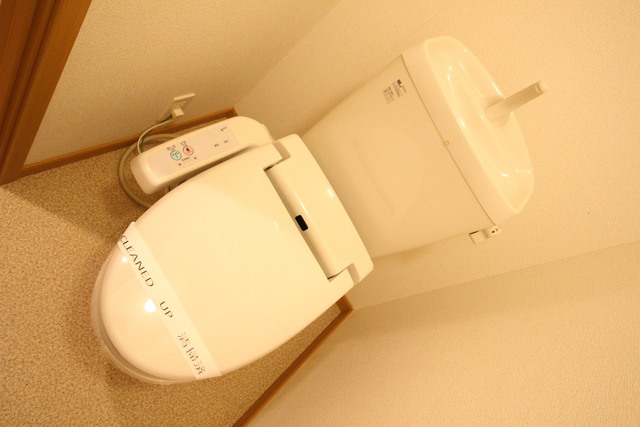 メゾンリーヴ2nkのトイレ写真