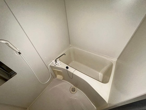 バス・シャワールーム　※別部屋の写真です