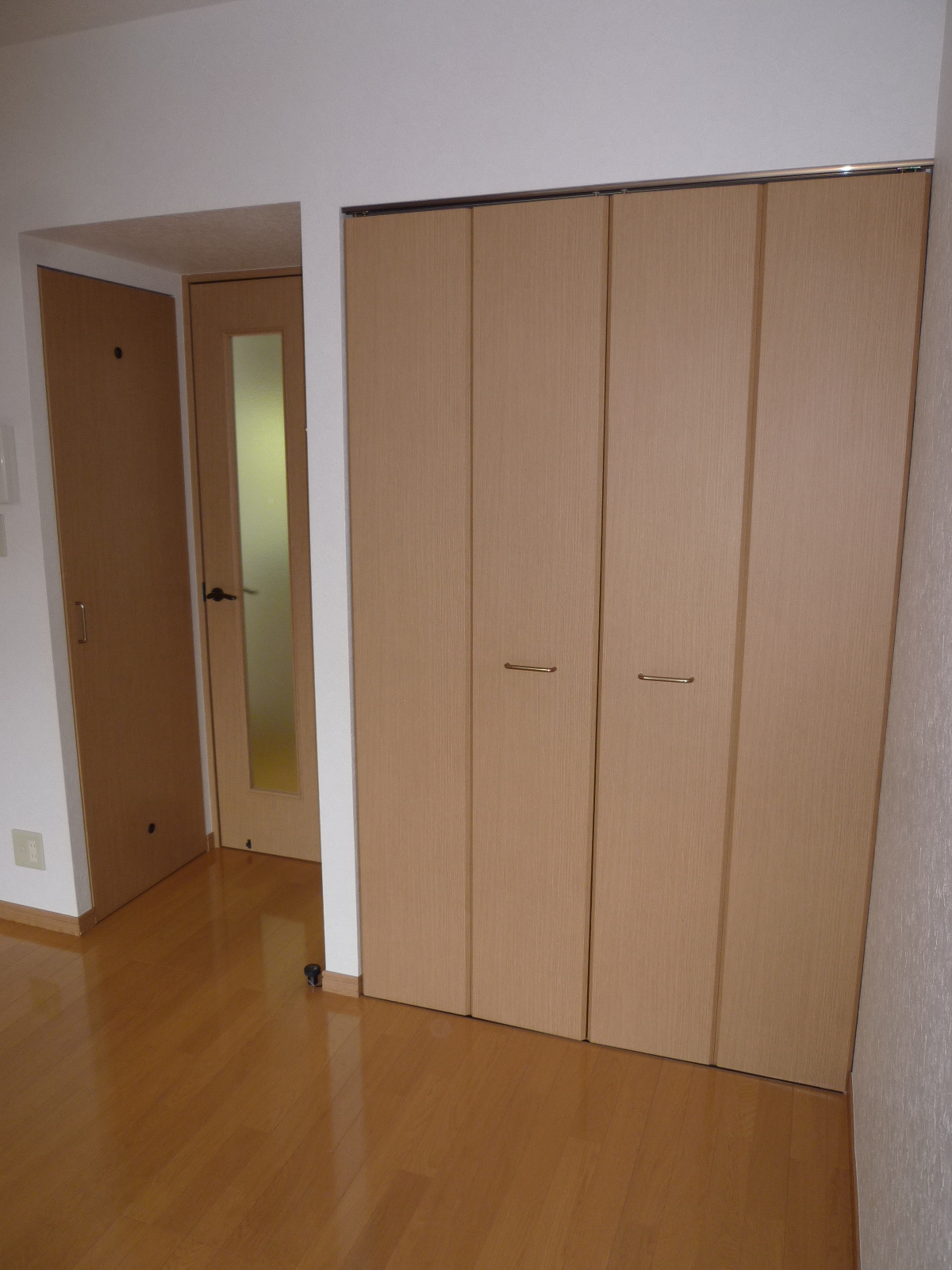 収納　クローゼット（写真右扉）と物入れ（写真左扉）の収納２ヶ所！