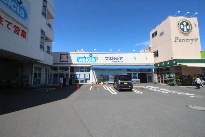 ドラックストア　ウエルシア小田原寿町店（ドラッグストア）まで550m