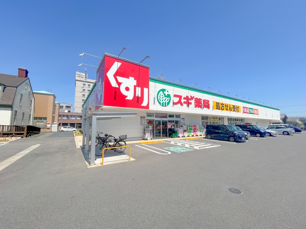 ドラックストア　スギ薬局 近江八幡南店（ドラッグストア）まで580m