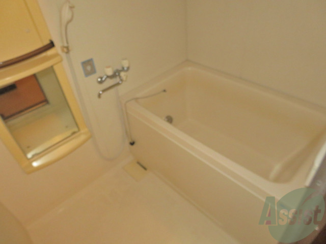 バス・シャワールーム　浴室はゆったりと浸かれるサイズ感になっていますね。