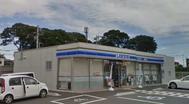 コンビニ　ローソンさいたま南中丸店（コンビニ）まで803m