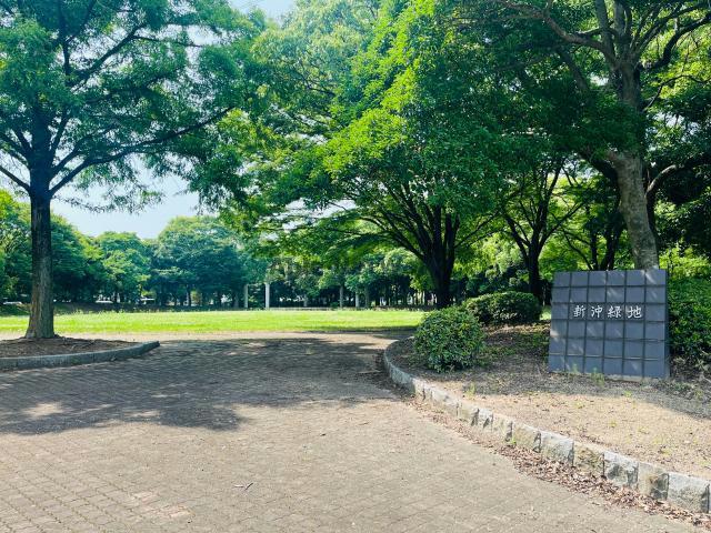 その他　新沖緑地