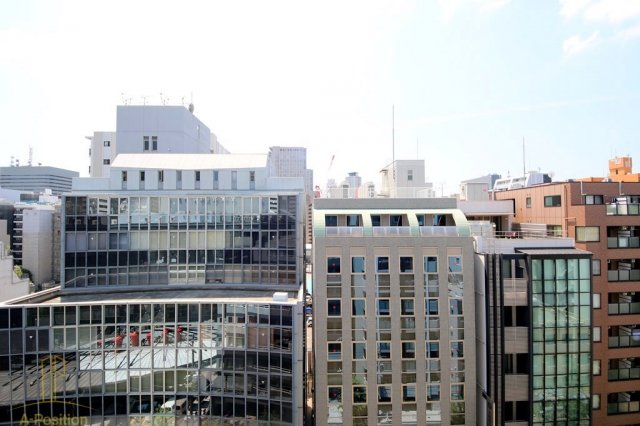 眺望　セイワパレス大手前西