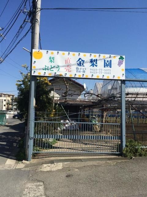 その他　金梨園（その他）まで2608m