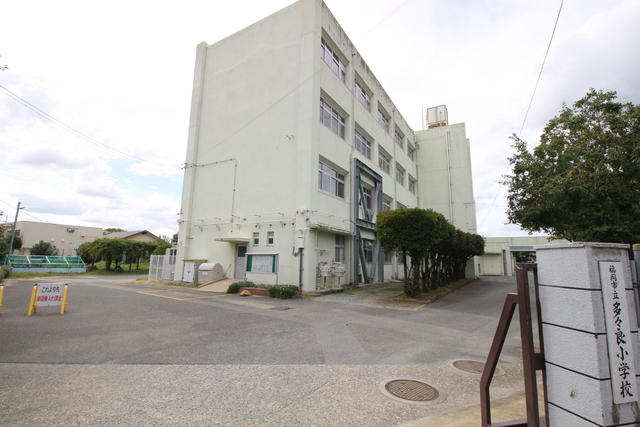 小学校　福岡市立多々良小学校（小学校）まで700m