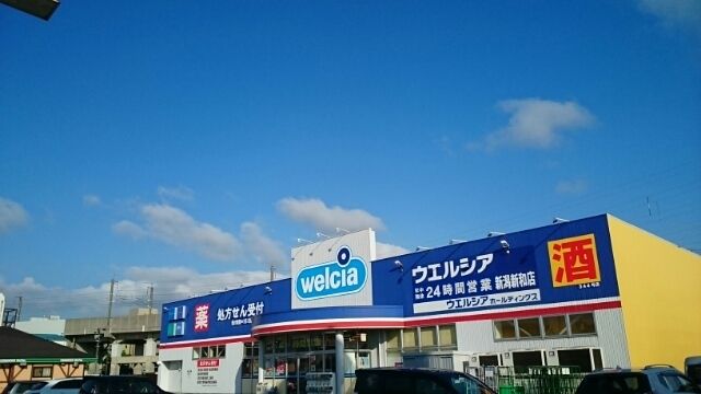 ドラックストア　ウエルシア新潟新和店（ドラッグストア）まで400m