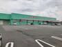 ドラックストア　コスモス西出水店（ドラッグストア）まで1000m