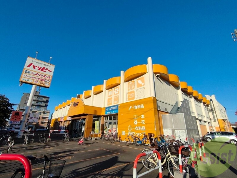 スーパー　スーパーエース北30条店（スーパー）まで534m