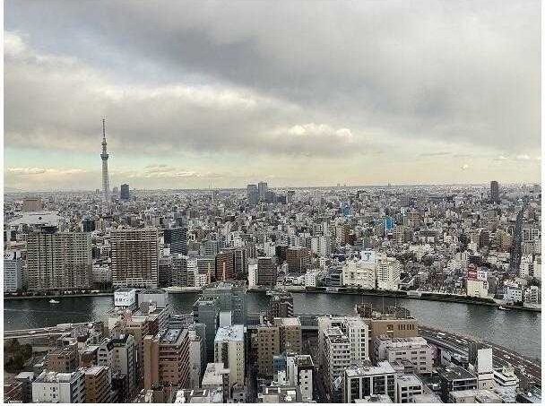 【トルナーレ日本橋浜町の眺望】