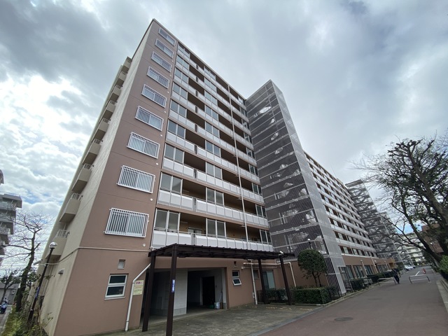 【市川市市川南のマンションの建物外観】