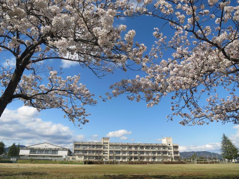 グリーンハイツA_その他_7