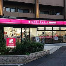 コンビニ　ナチュラルローソン NL南麻布二丁目店（コンビニ）まで109m