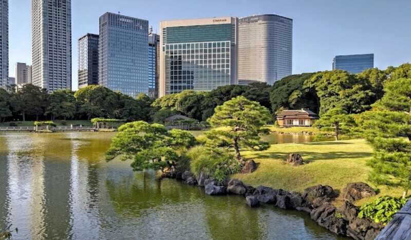 公園　浜離宮恩賜庭園（公園）まで1510m
