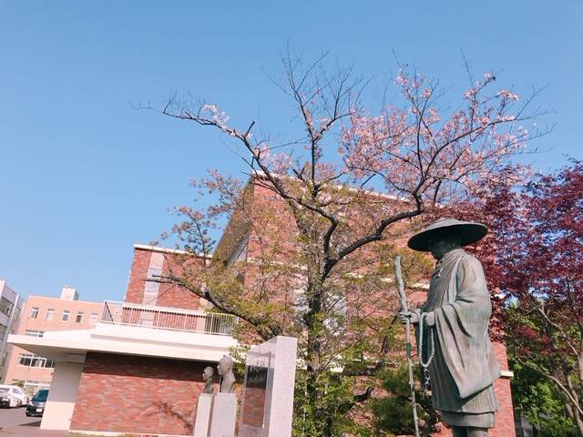 高校・高専　札幌大谷高等学校（高校・高専）まで446m