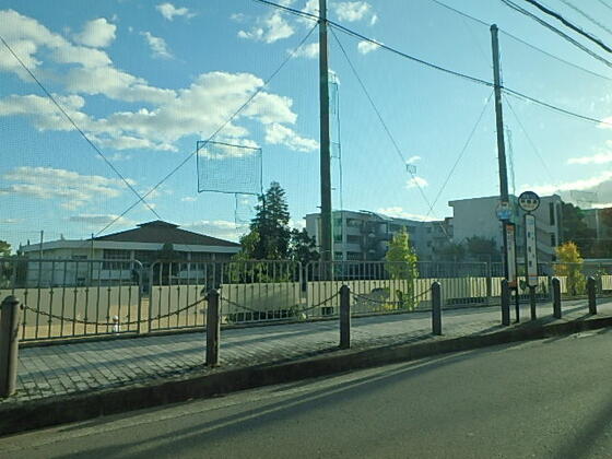 中学校　箕面市立第一中学校（中学校）まで1177m