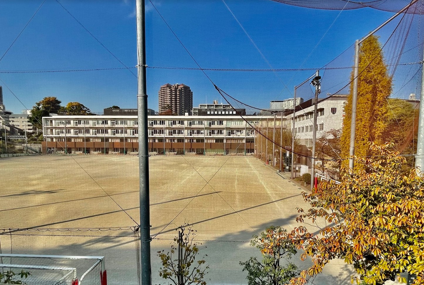 中学校　品川区立品川学園（中学校）まで150m
