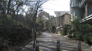 公園　羅漢寺川緑道（公園）まで628m