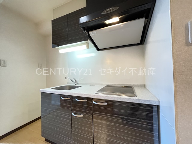 ルミエール八尾駅前のキッチン写真