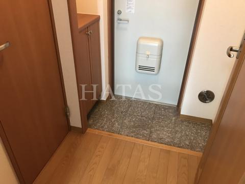 玄関　同物件別部屋です。