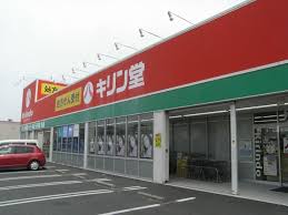 ドラックストア　キリン堂高槻上牧店（ドラッグストア）まで1009m