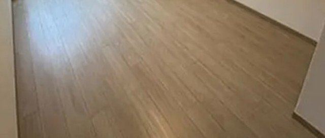 ルーブル多摩川七番館の居間写真
