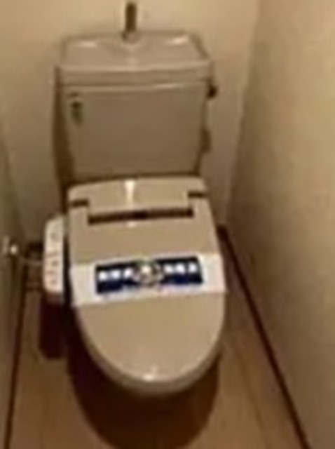 ルーブル多摩川七番館のトイレ写真