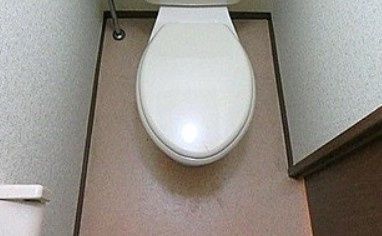 トイレ　別部屋参考画像になります。
