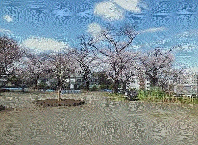 公園　幸ケ谷公園（公園）まで55m