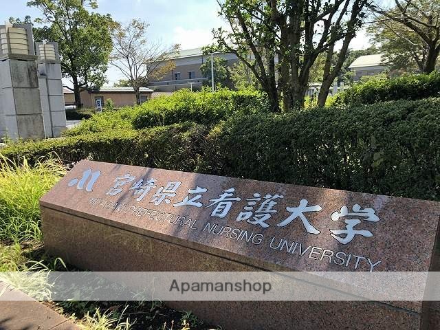 【はまゆうハイツの大学・短大】