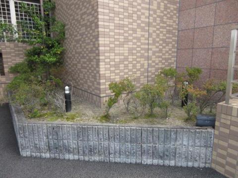 庭　植栽（イメージ）