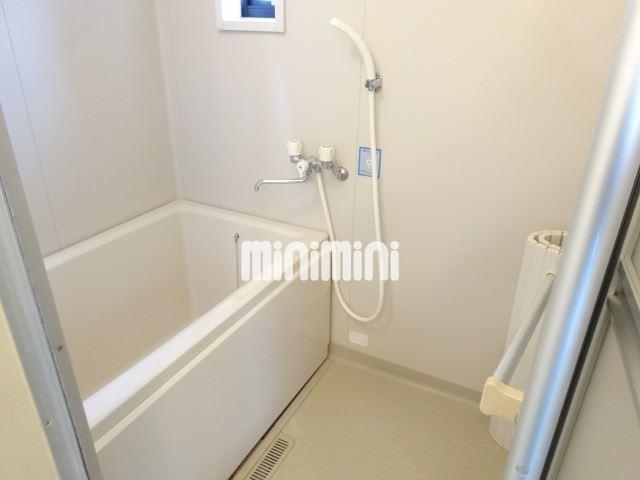 バス・シャワールーム　窓付きのお風呂です。