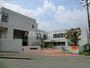 小学校　川崎市立真福寺小学校（小学校）まで1047m