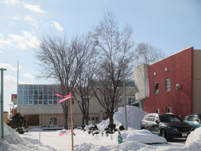 小学校　帯広市立つつじが丘小学校（小学校）まで1455m