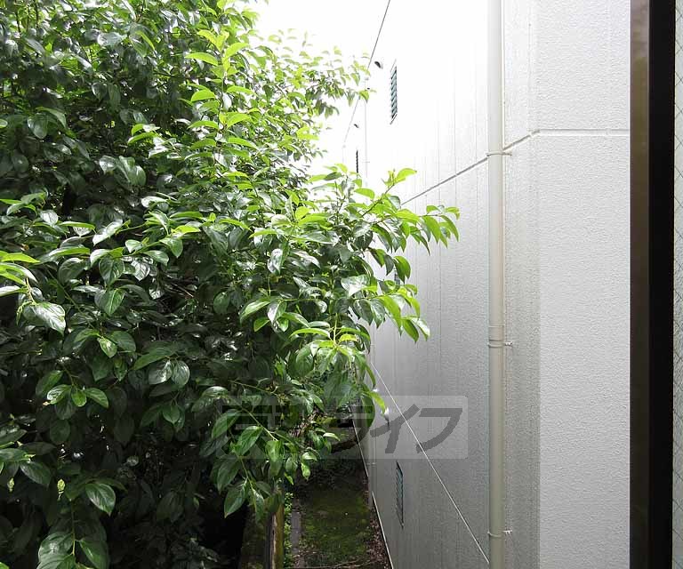 眺望　窓の外の風景です！