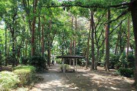 公園　駒場緑地（公園）まで988m