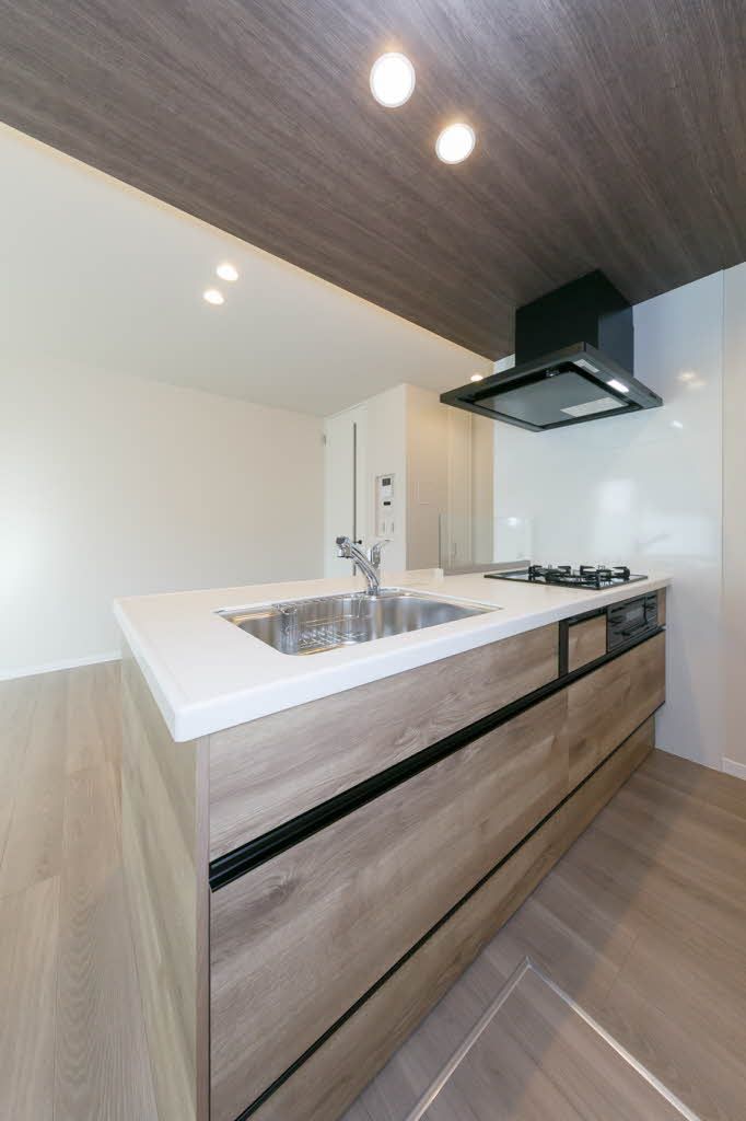 キッチン　システムキッチン　料理をしながら、洗い物をしながら、会話が…