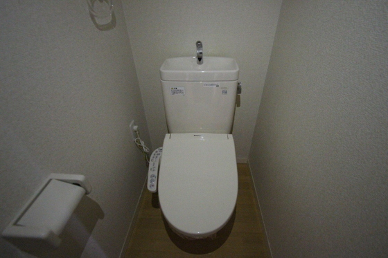 トイレ　※他号室の写真です。